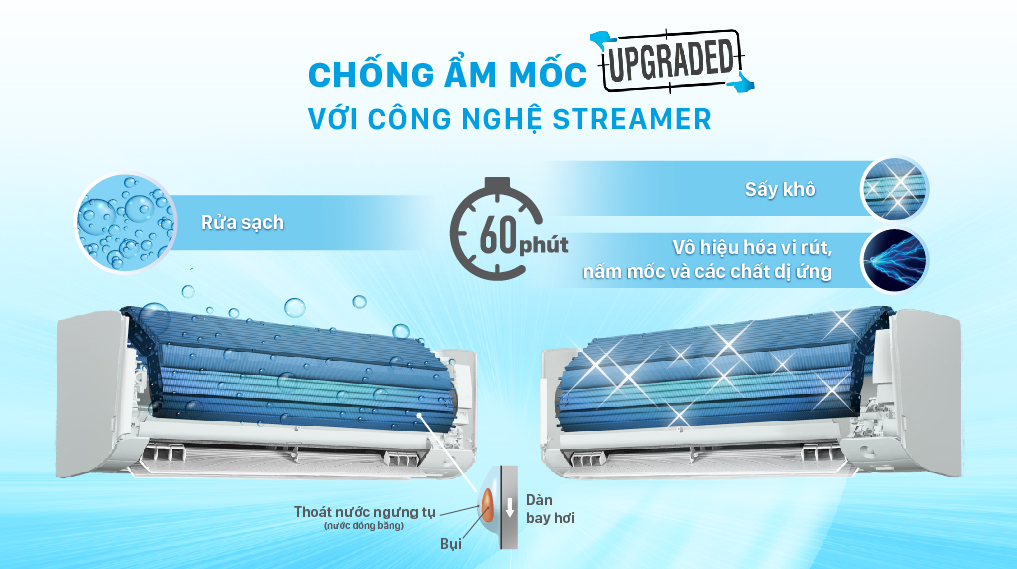 Hoạt động chống ẩm mốc với Streamer
