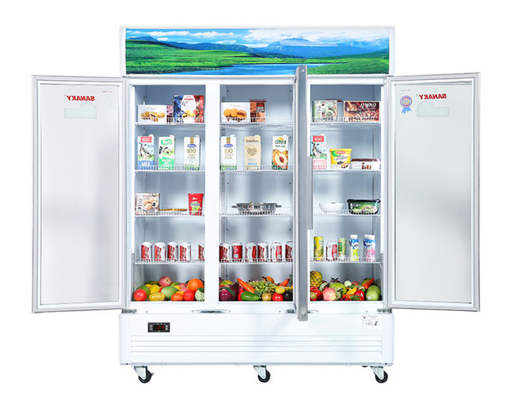 Tủ mát Sanaky 1400 lít VH-1520HP giá tốt, giao nhanh
