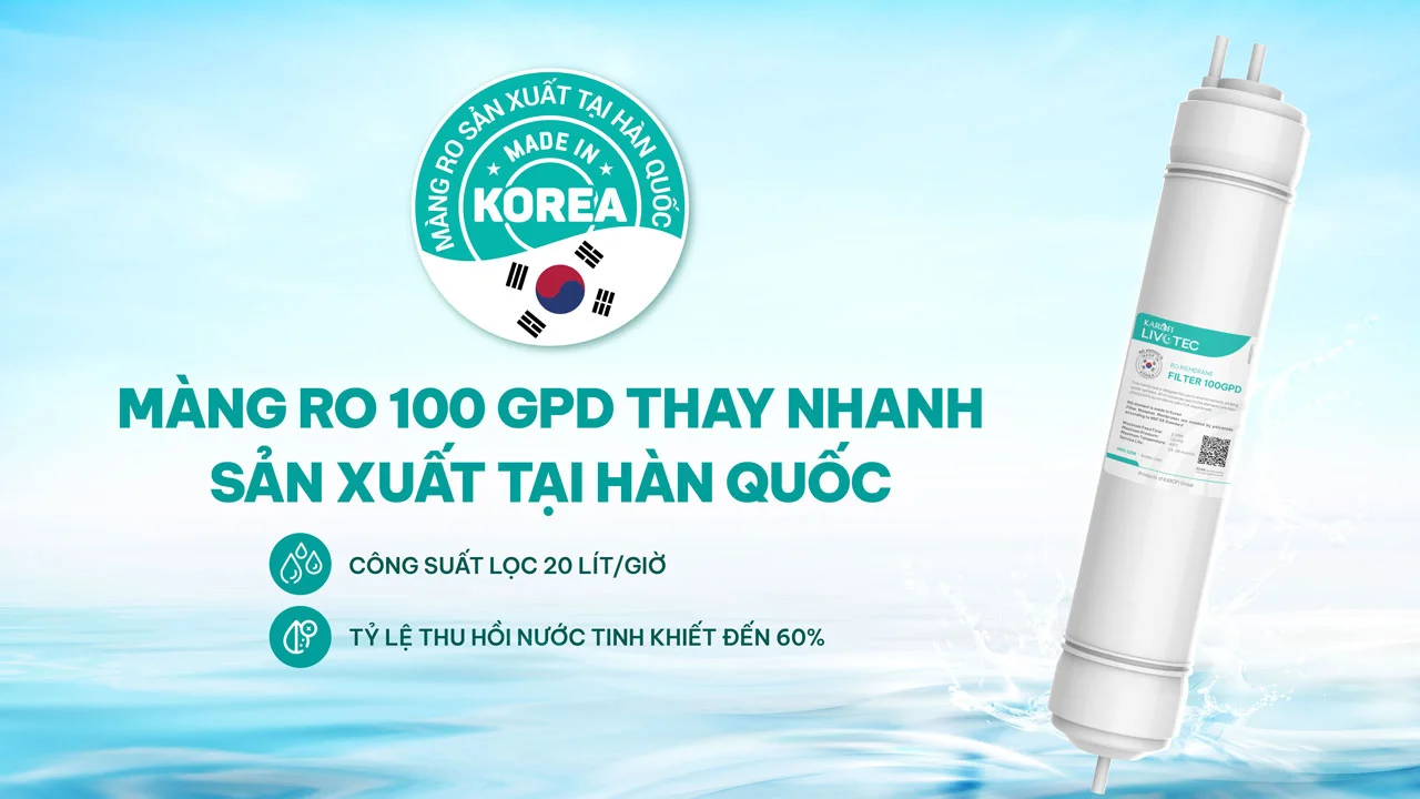 Máy lọc nước nóng lạnh Karofi Livotec 616