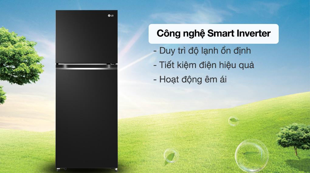Tủ lạnh LG Inverter 217 lít GV-B212WB - Smart Inverter